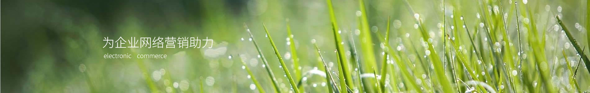 ɽٴӿƼ޹˾